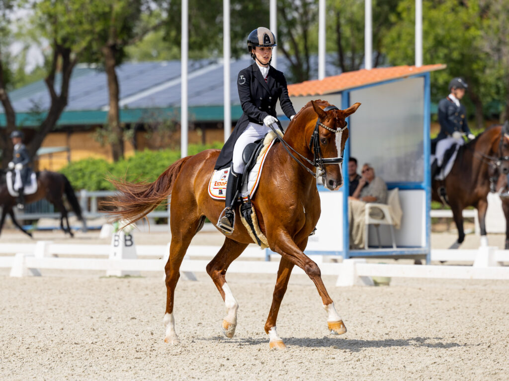 portfolio iratxe aragón